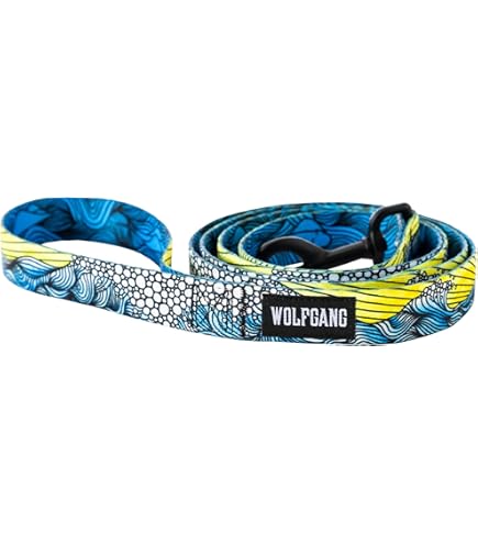 Amazon.com : Wolfgang Heavy Duty Dog Leash, Pull-Tested to Over